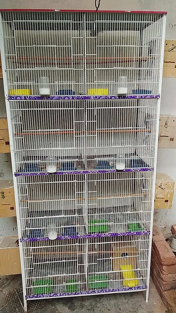 cage for sale with free murgiyan — photo 2
