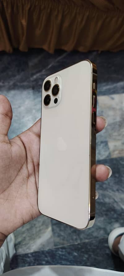 Apple iPhone 12 Pro