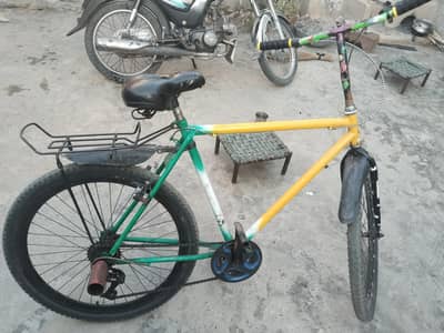 phoenix 26"