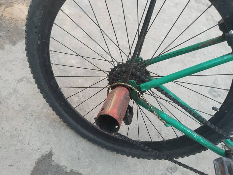 phoenix 26" 1