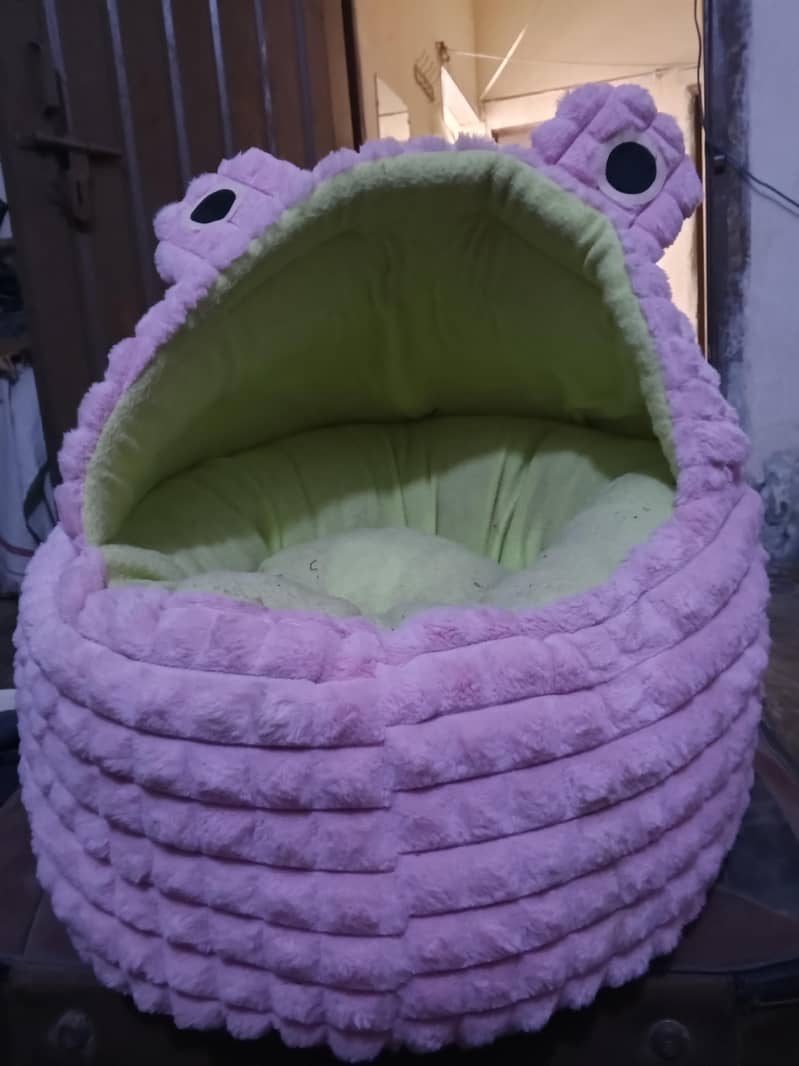 kitten bed 3