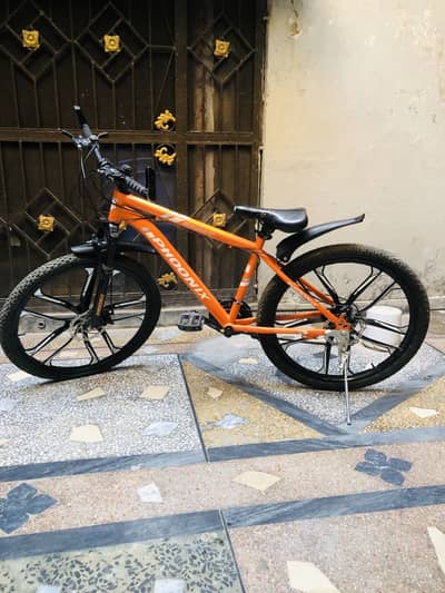 Phoonix bicycle