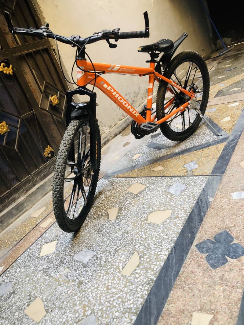 Phoonix bicycle 1