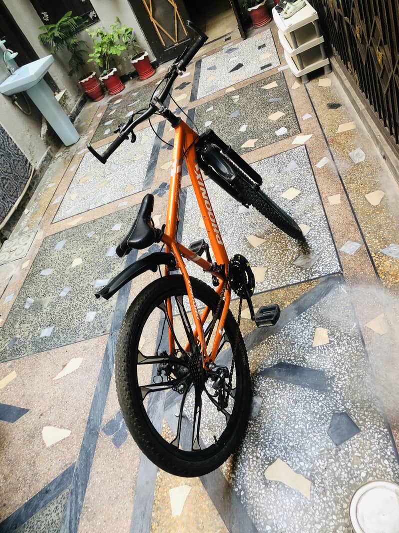 Phoonix bicycle 2