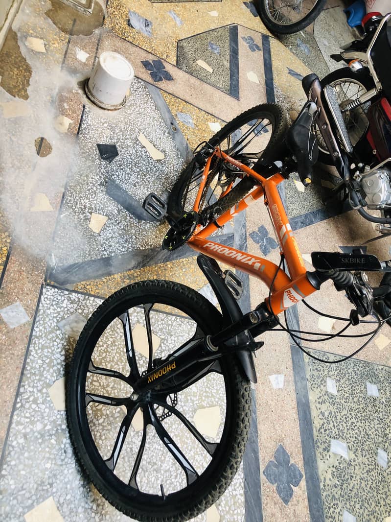 Phoonix bicycle 3
