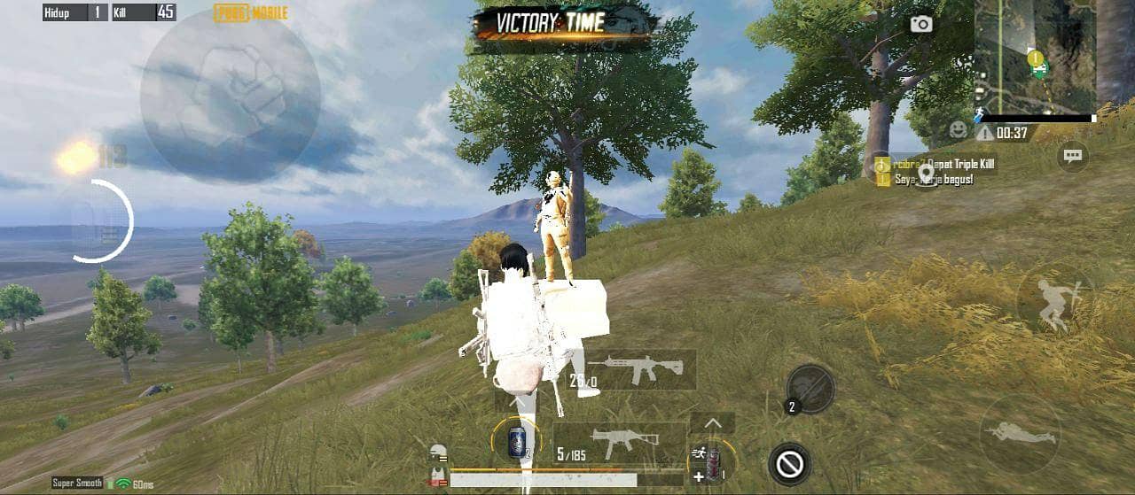 PUBG File 2