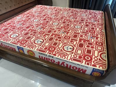 Master Molty Foam 78* 72 Size, 6 inch Thickness