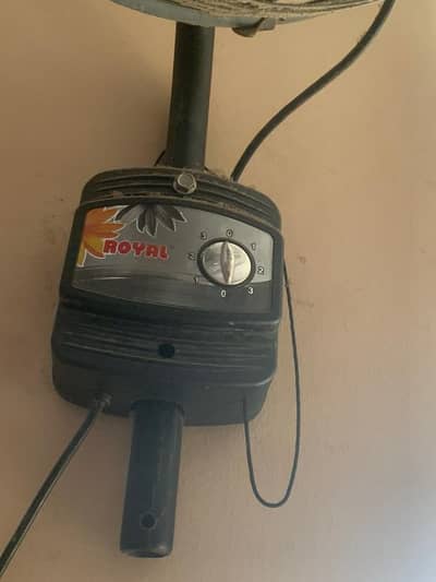 Royal Fan 10/10 condition very rarely used less than 2 months