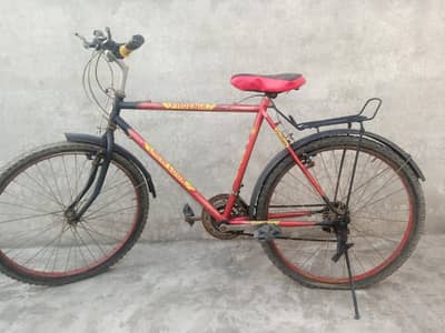phoenix ‍ bycle
