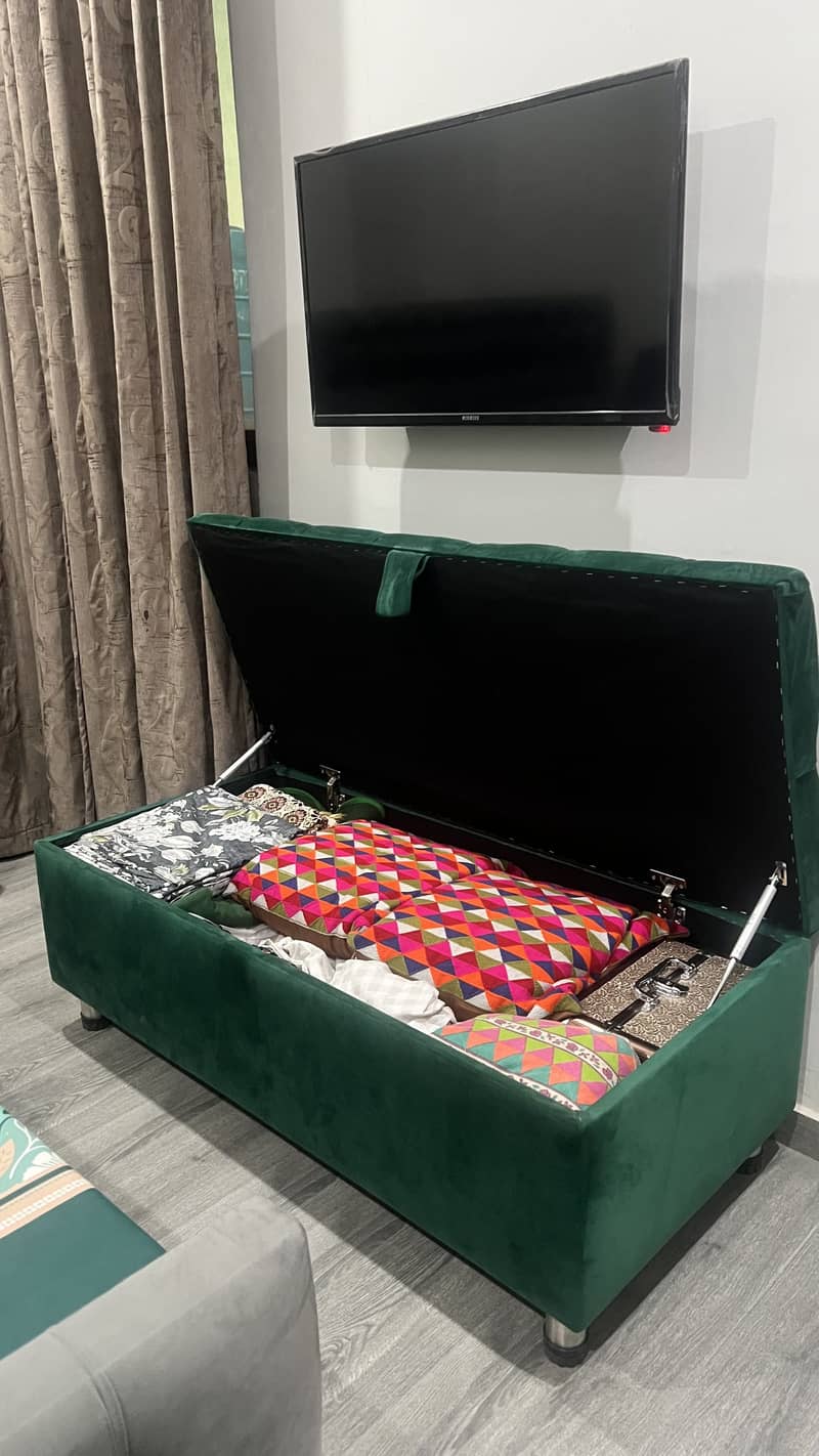 Storage Ottoman / couch 3