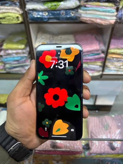 i phone 12 pro(256 GB)