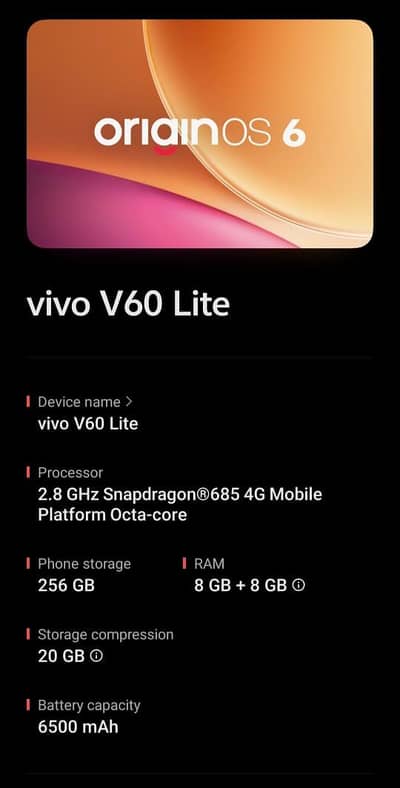 Vivo V60