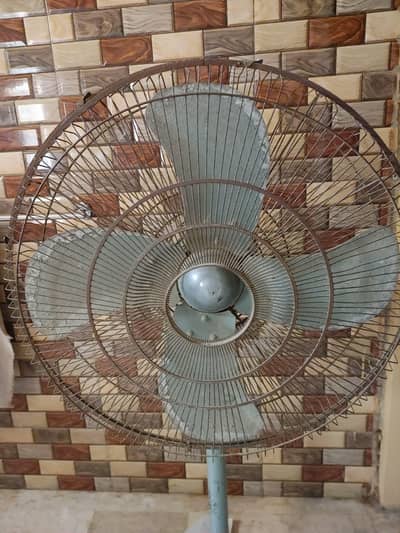 royal fan for sale