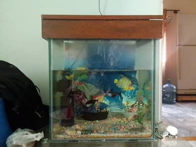 Aquarium in good condition 10/10 size 1.5/1.5
