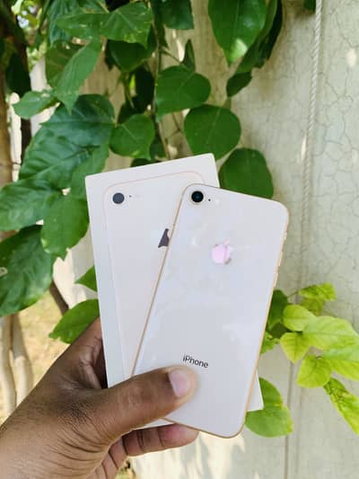 iPhone 8 (PTA)