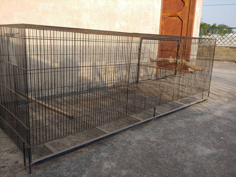 Cages 2