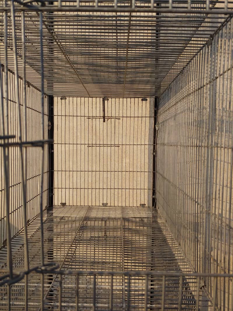 Cages 6