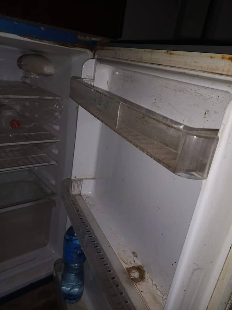 freezer 3