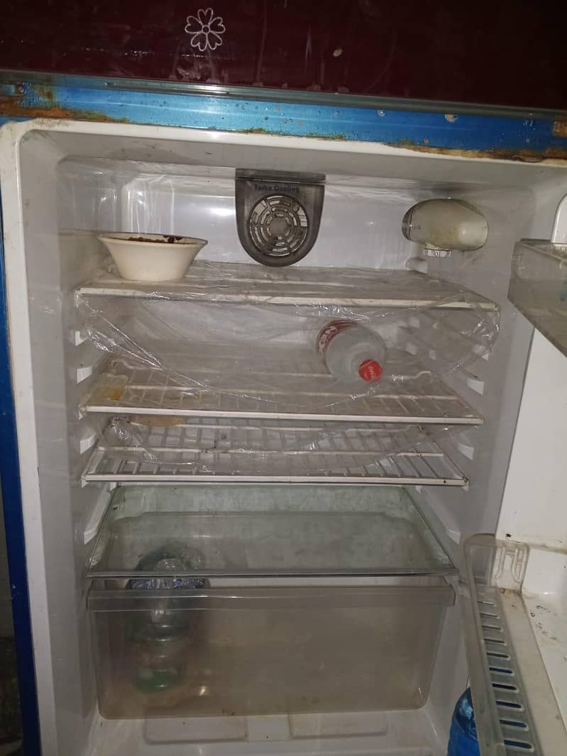 freezer 5