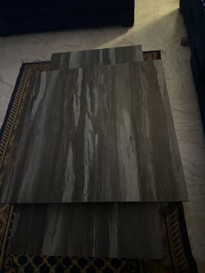 Modern Coffee/Center Tables (Set of 2