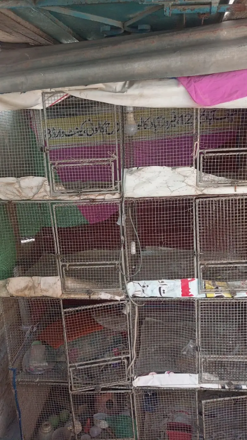 8 khana ka pinjra — photo 3
