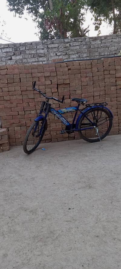 2024 modal