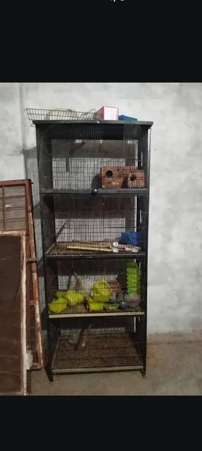 Angle Cage 4 Portion 1.5 by 2.5