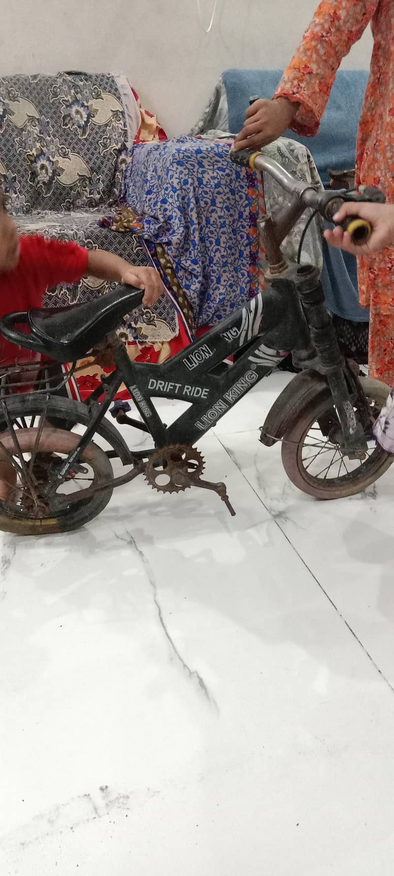 muzboot cycle 1