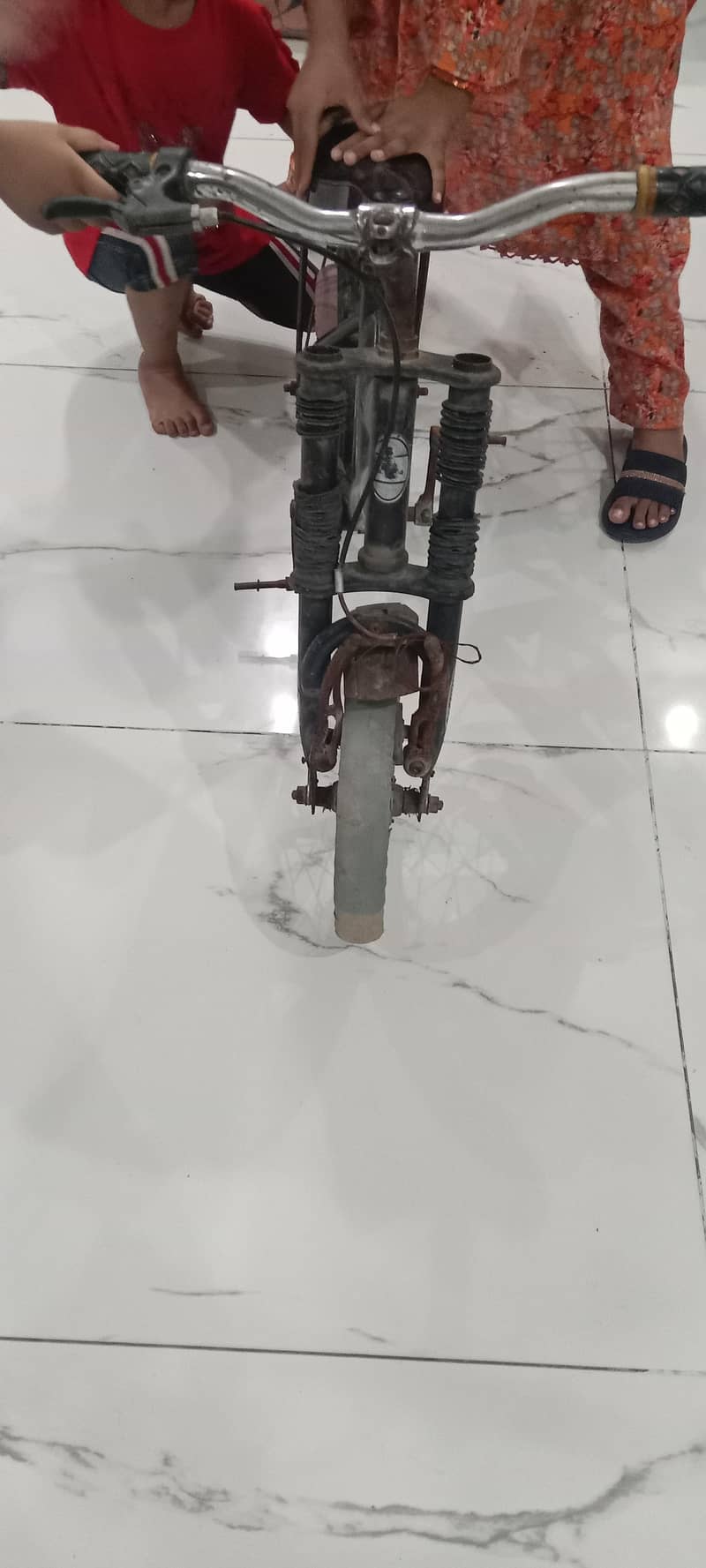 muzboot cycle 3