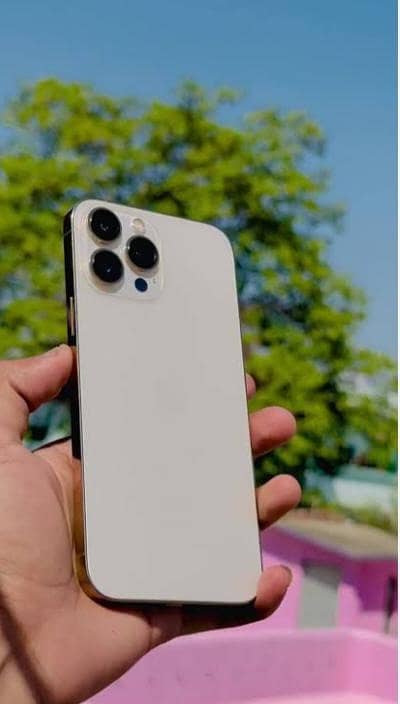 Apple iPhone 13 Pro Max