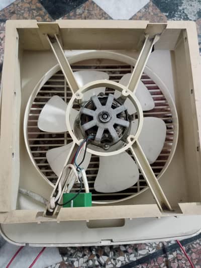 Royal Fan 12 Inch