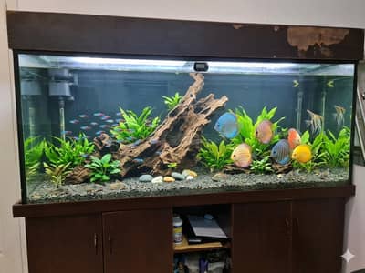 Aquarium
