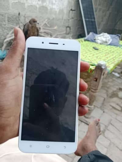Vivo Y66