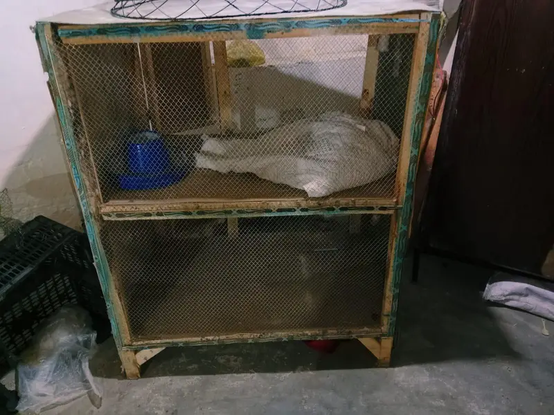 hens Cage — photo 4