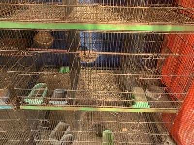 Cages 12 portion used