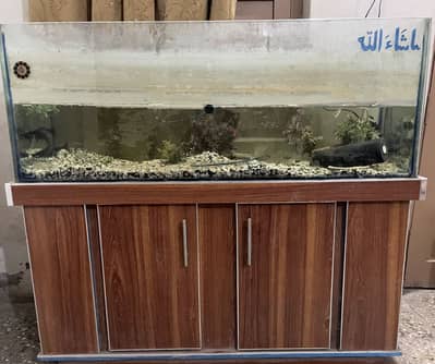 Fish Aquarim