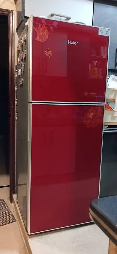 haeir fidge glass door