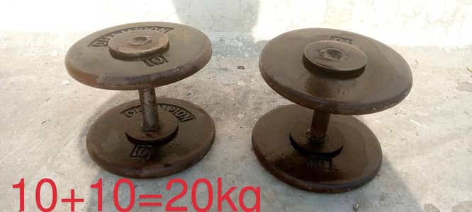 20kg Dumbbell Pair | Hex Rubber | Like New | Lahore