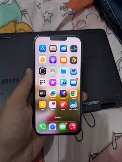 Apple iPhone 13 Pro Max