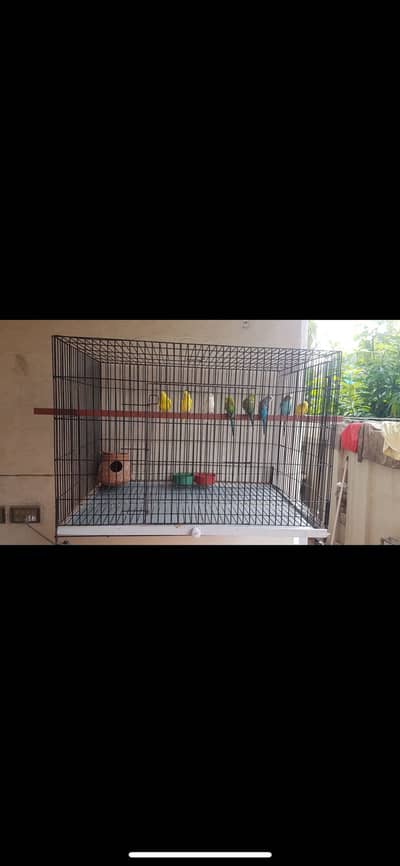 Cage for argent selling