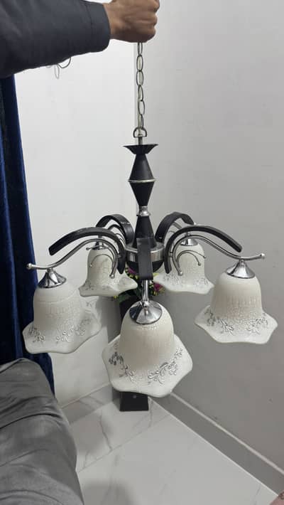 Elegant Crystal Chandelier – Excellent Condition