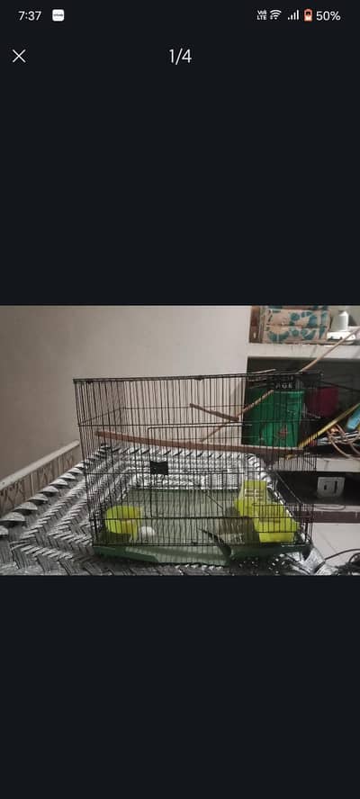 cage 1.5×2 in good condition