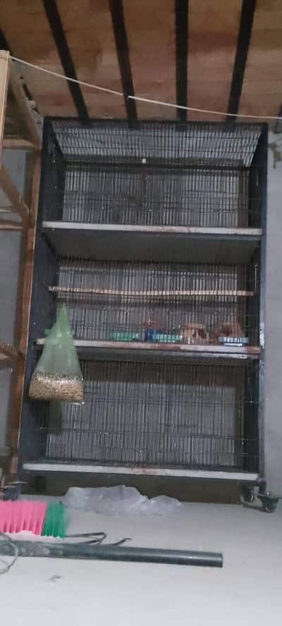 birds cage