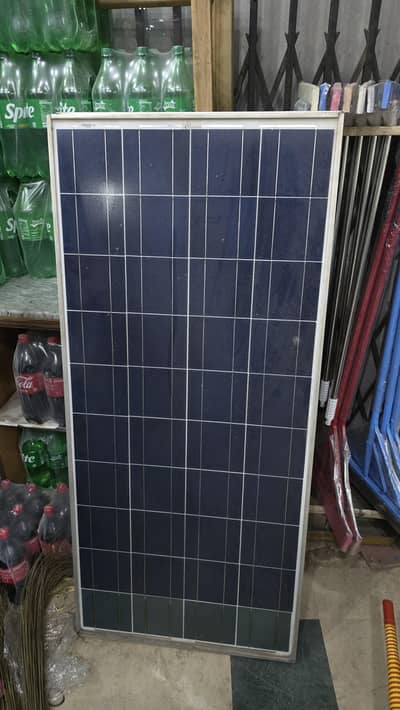 150watt palm solar