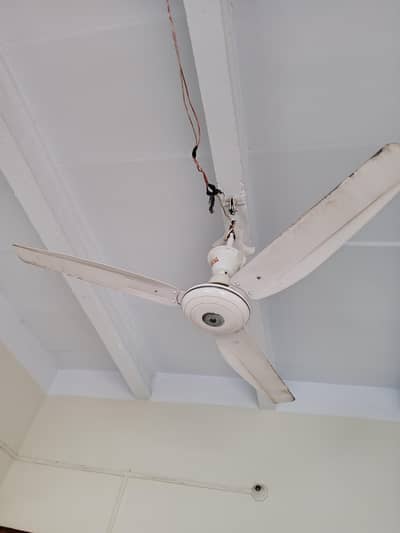 celling fan gfc 10/10