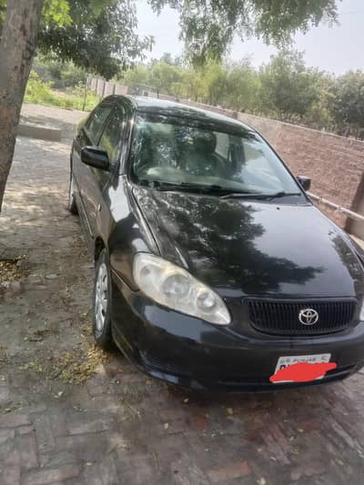 Toyota Corolla XLI 2006 Gli Convert