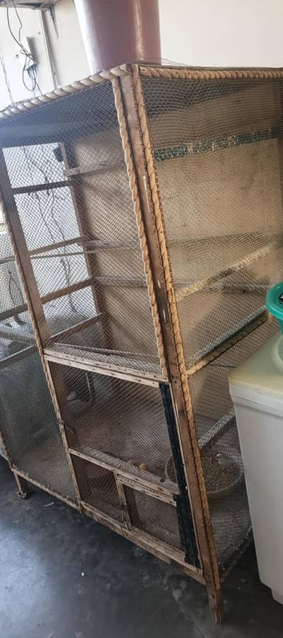birds and goats cage