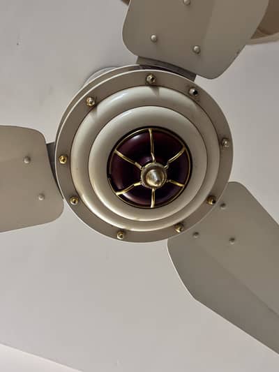 New ceiling fans