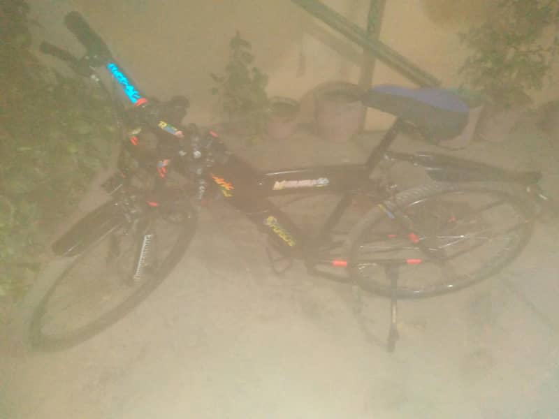 cycle 0