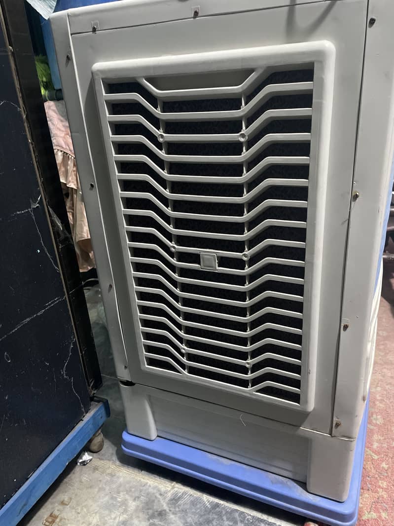 Electronic coller 1